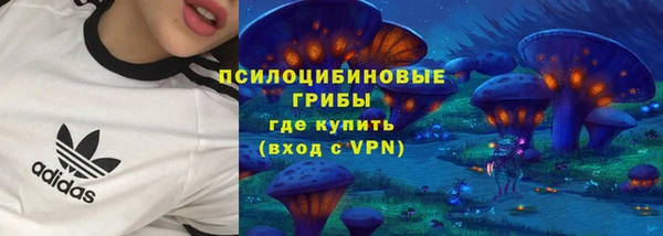 МДПВ Медвежьегорск