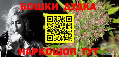 дурь Бийск