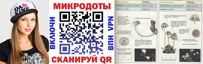 ссылка на мегу маркетплейс  как найти   Каспийск  Галлюциногенные грибы прущие грибы 