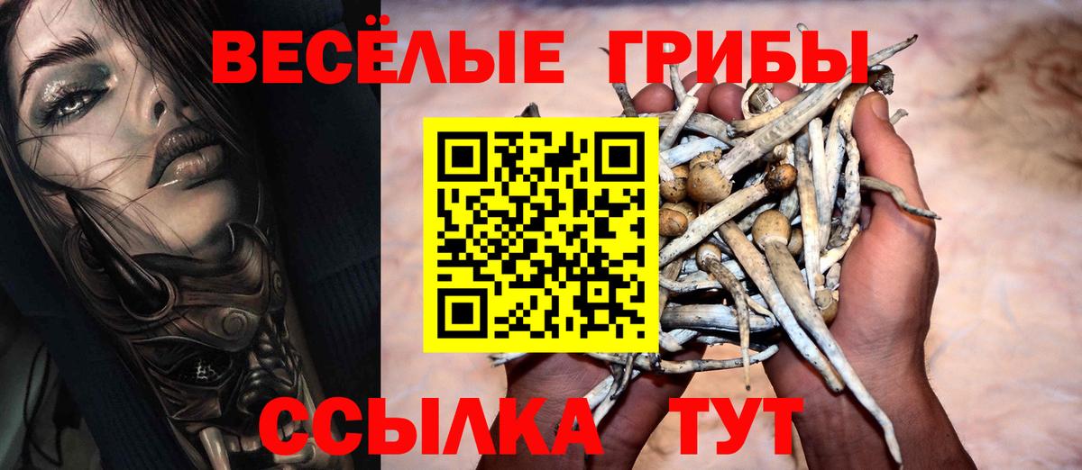 Каспийск  Галлюциногенные грибы GOLDEN TEACHER  Вход с VPN 